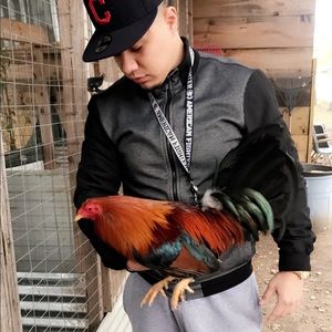 Meet your Posher, Angel